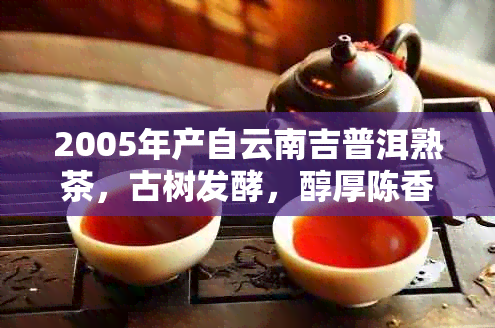 2005年产自云南吉普洱熟茶，古树发酵，醇厚陈香，品鉴享受