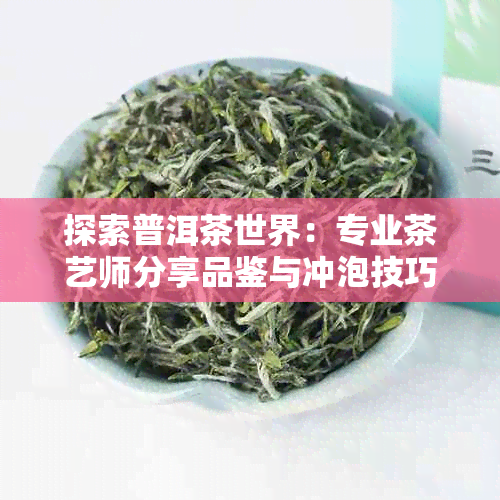 探索普洱茶世界：专业茶艺师分享品鉴与冲泡技巧