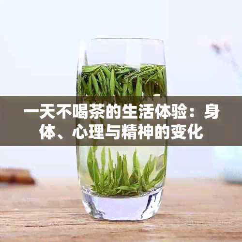 一天不喝茶的生活体验：身体、心理与精神的变化