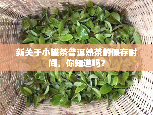 新关于小罐茶普洱熟茶的保存时间，你知道吗？