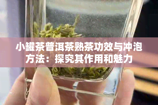 小罐茶普洱茶熟茶功效与冲泡方法：探究其作用和魅力