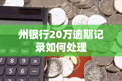 州银行20万逾期记录如何处理