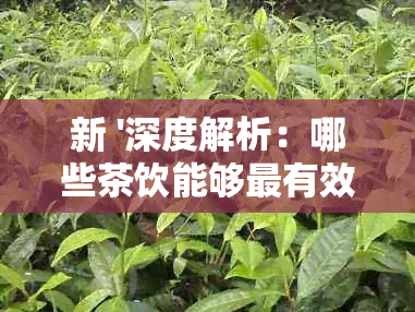 新 '深度解析：哪些茶饮能够最有效地调理肠胃功能'