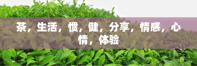 茶，生活，惯，健，分享，情感，心情，体验