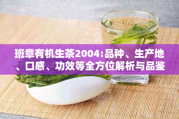 班章有机生茶2004:品种、生产地、口感、功效等全方位解析与品鉴指南