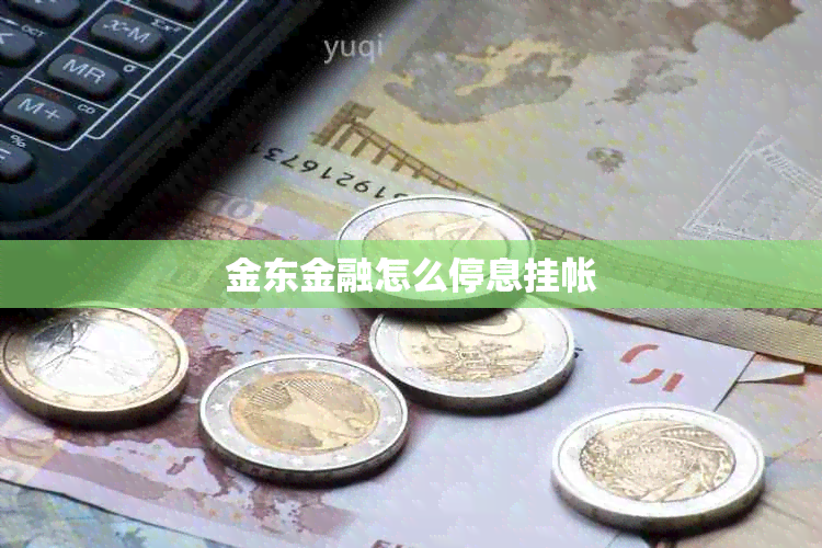 金东金融怎么停息挂帐