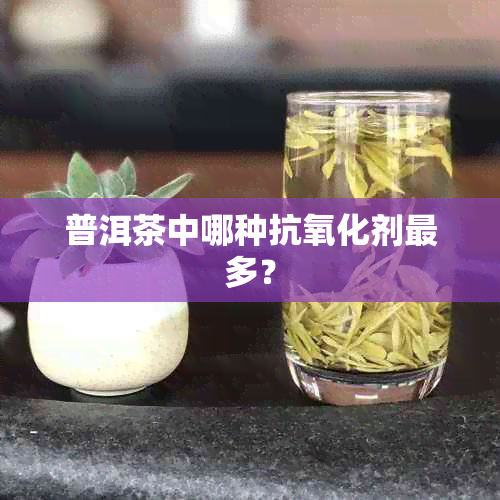 普洱茶中哪种抗氧化剂最多？