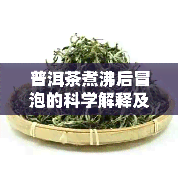 普洱茶煮沸后冒泡的科学解释及其影响因素分析