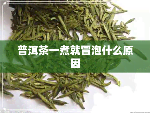 普洱茶一煮就冒泡什么原因