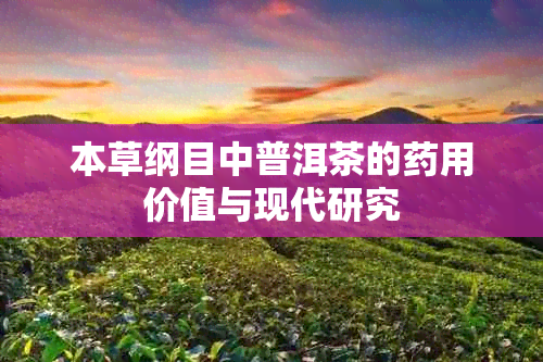 本草纲目中普洱茶的用价值与现代研究