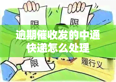 逾期发的中通快递怎么处理