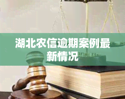 湖北农信逾期案例最新情况