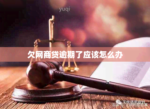 欠网商贷逾期了应该怎么办