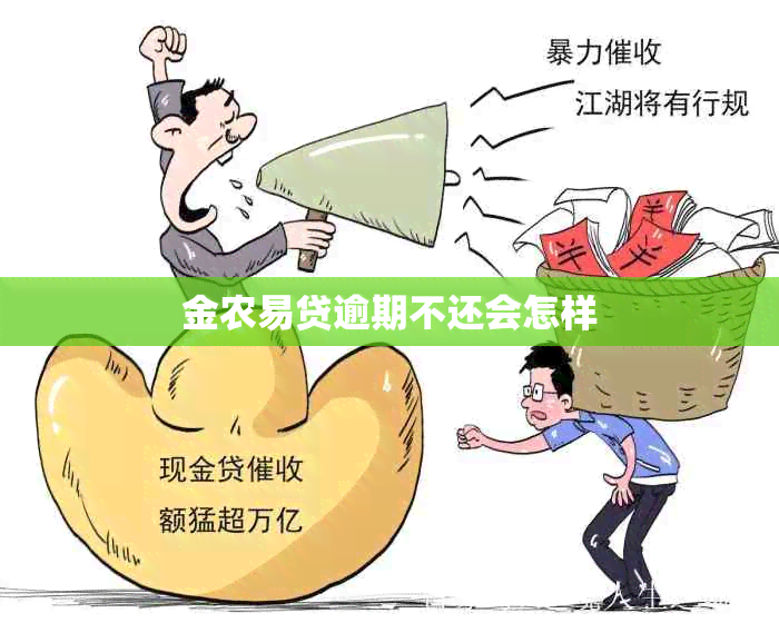 金农易贷逾期不还会怎样