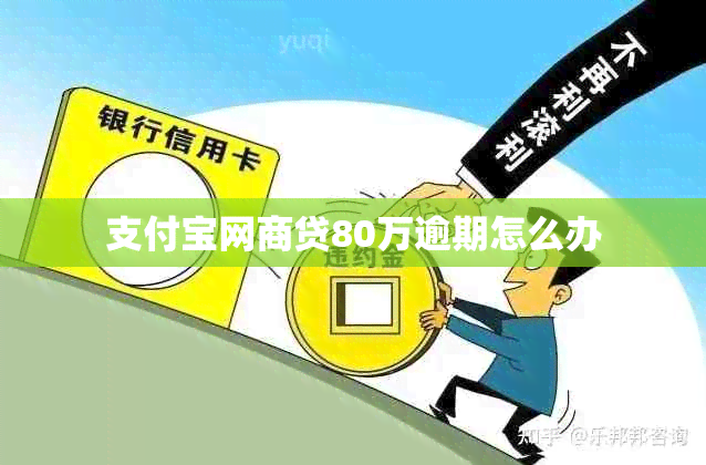 支付宝网商贷80万逾期怎么办