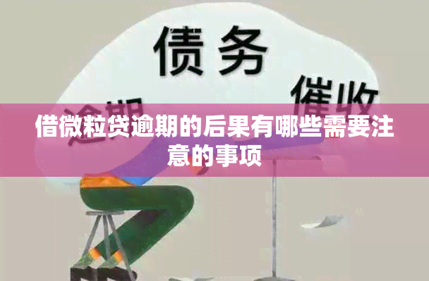 借微粒贷逾期的后果有哪些需要注意的事项