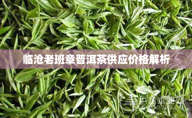 临沧老班章普洱茶供应价格解析