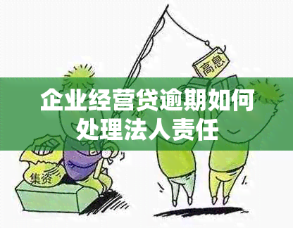 企业经营贷逾期如何处理法人责任