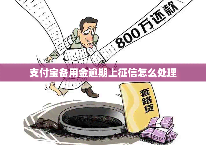 支付宝备用金逾期上怎么处理