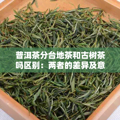 普洱茶分台地茶和古树茶吗区别：两者的差异及意义