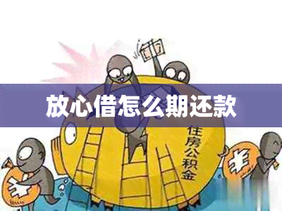 放心借怎么期还款