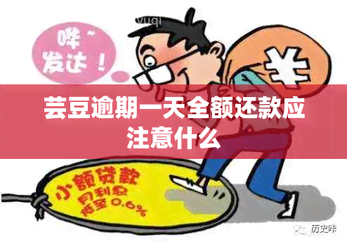 芸豆逾期一天全额还款应注意什么