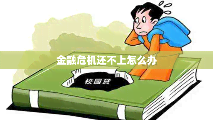 金融危机还不上怎么办