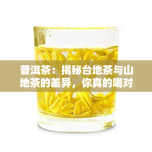 普洱茶：揭秘台地茶与山地茶的差异，你真的喝对了吗？