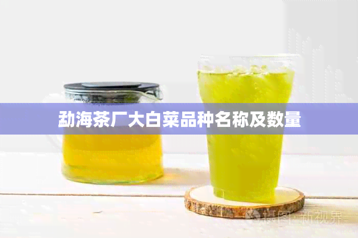 勐海茶厂大白菜品种名称及数量