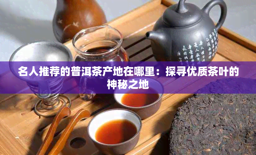 名人推荐的普洱茶产地在哪里：探寻优质茶叶的神秘之地