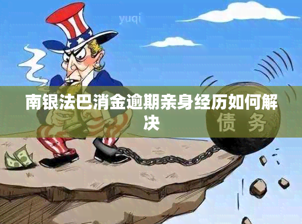 南银法巴消金逾期亲身经历如何解决