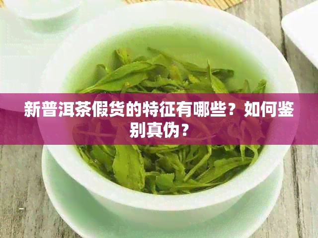 新普洱茶假货的特征有哪些？如何鉴别真伪？