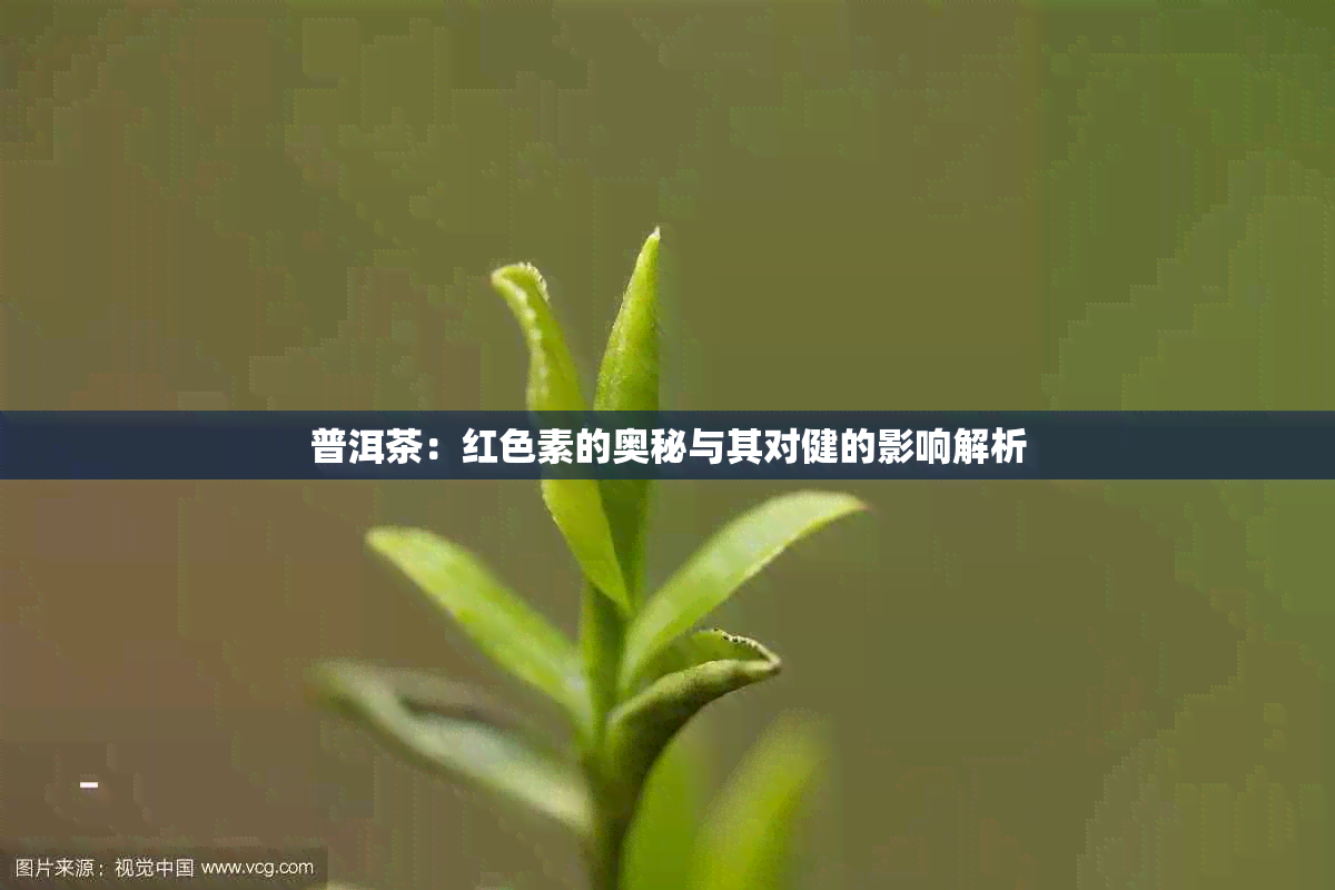 普洱茶：红色素的奥秘与其对健的影响解析