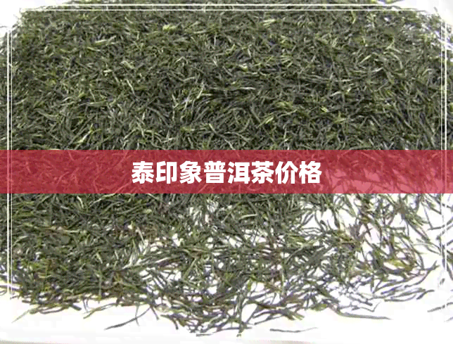 泰印象普洱茶价格