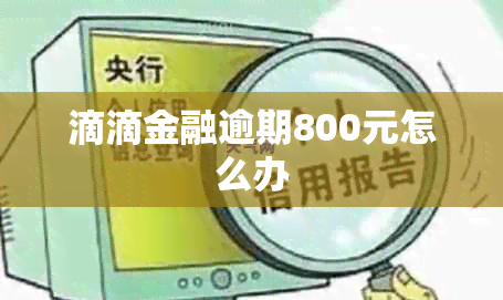 滴滴金融逾期800元怎么办