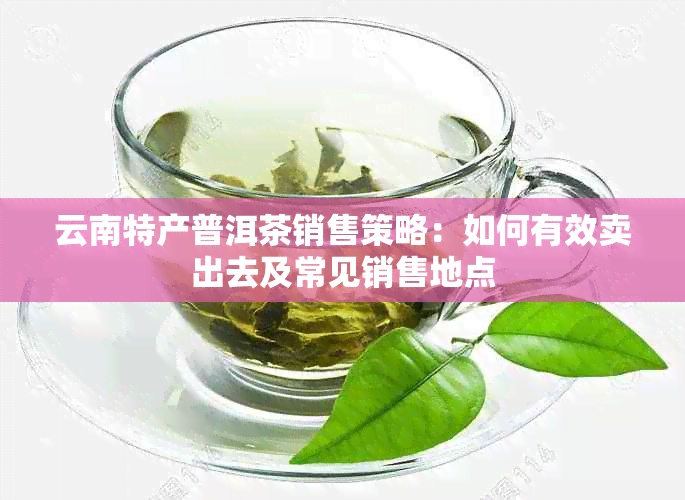 云南特产普洱茶销售策略：如何有效卖出去及常见销售地点