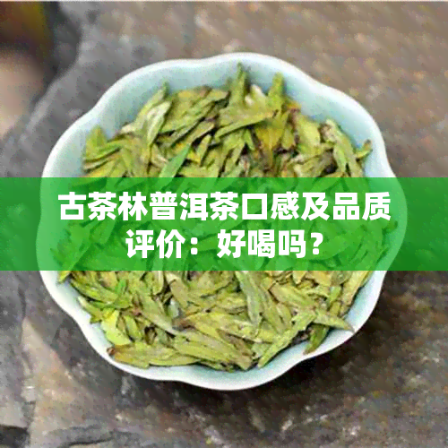 古茶林普洱茶口感及品质评价：好喝吗？