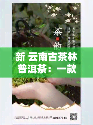 新 云南古茶林普洱茶：一款历经时光沉淀的天然饮料