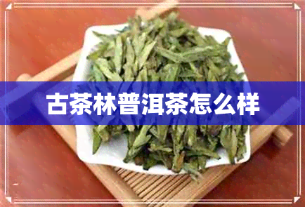 古茶林普洱茶怎么样