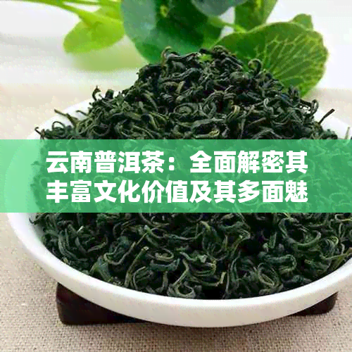 云南普洱茶：全面解密其丰富文化价值及其多面魅力