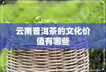 云南普洱茶的文化价值有哪些