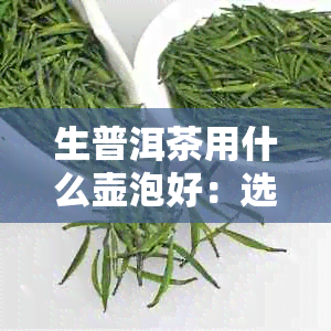 生普洱茶用什么壶泡好：选择与品饮的关键因素