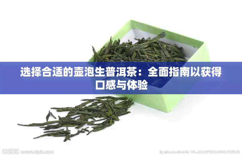 选择合适的壶泡生普洱茶：全面指南以获得口感与体验