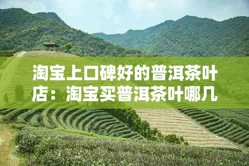 淘宝上口碑好的普洱茶叶店：淘宝买普洱茶叶哪几家店好？