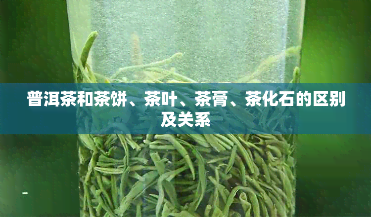 普洱茶和茶饼、茶叶、茶膏、茶化石的区别及关系