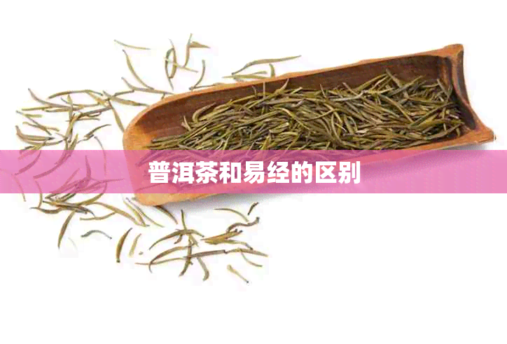 普洱茶和易经的区别