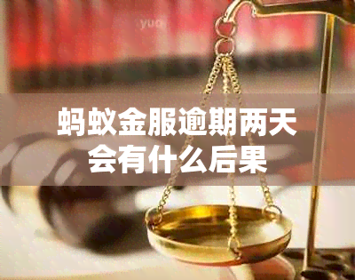 蚂蚁金服逾期两天会有什么后果