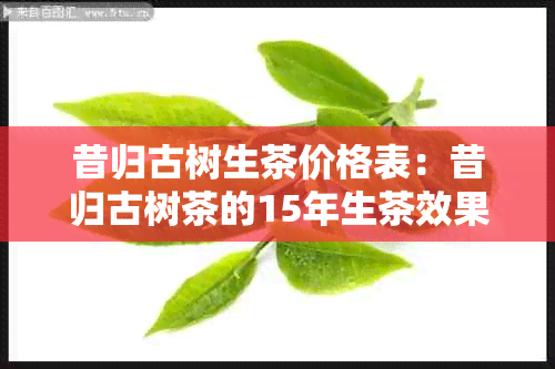 昔归古树生茶价格表：昔归古树茶的15年生茶效果及价格解析