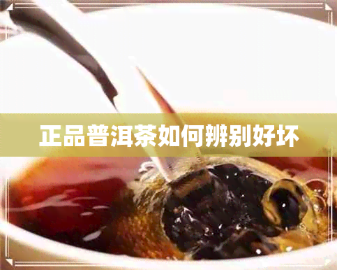 正品普洱茶如何辨别好坏