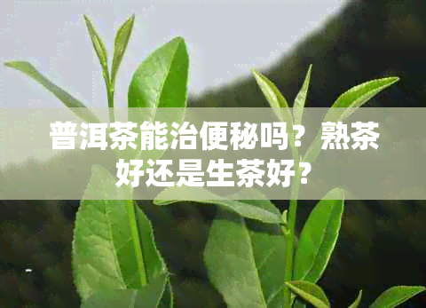 普洱茶能治便秘吗？熟茶好还是生茶好？